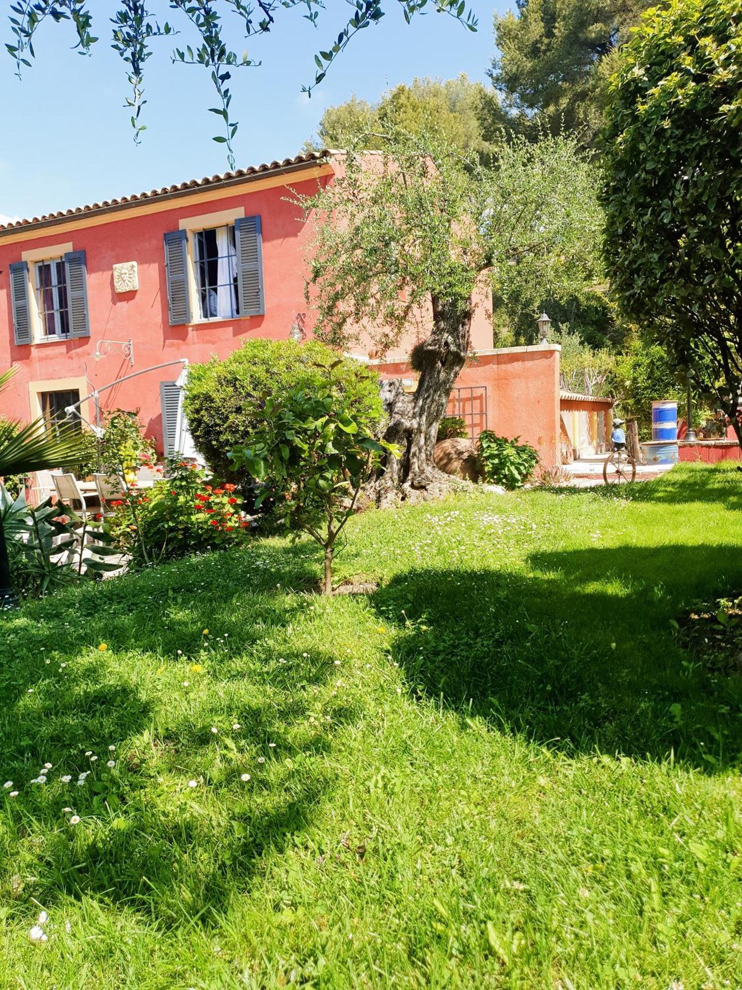 Sous L'olivier